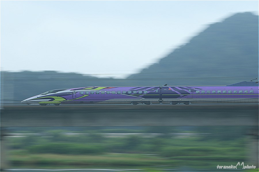 500 TYPE EVA  COMPLETE FILE